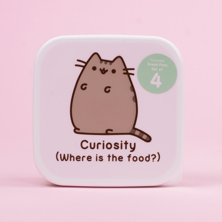 Scatole Pusheen Cat