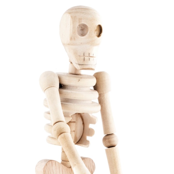 Scheletro di legno