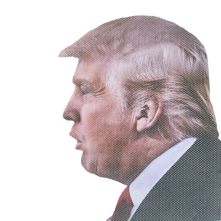 Adesivo da finestrino – Donald Trump