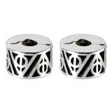 Clip per charm Harry Potter (set da 2)