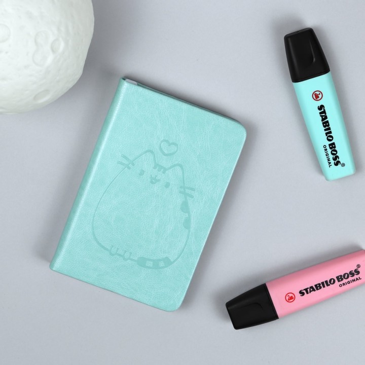 Mini agenda Pusheen Cat