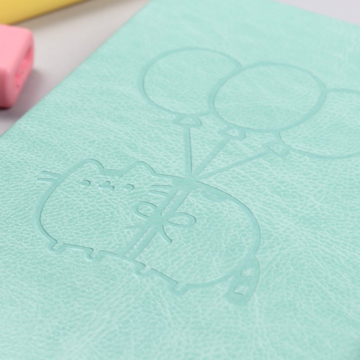 Mini agenda Pusheen Cat