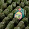 Avocado Smash