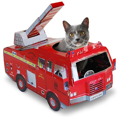 case-da-gioco-per-gatti-pompieri