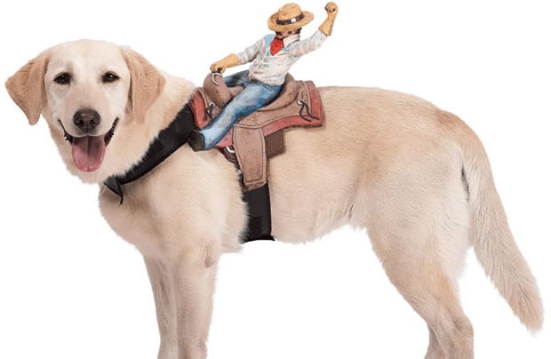 sella-per-cani-cowboy