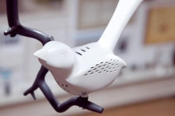 L’uccellino rilevatore di fumo