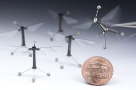 insetto-robot-piu-piccolo-del-mondo