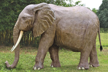 L’elefante africano da giardino