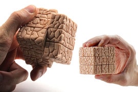 brain-cube