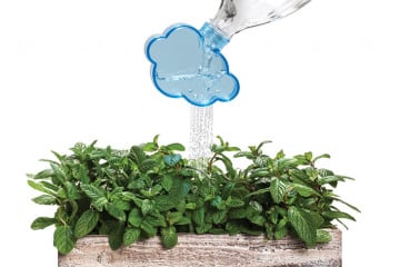 Rainmaker, da bottiglia annaffiatoio