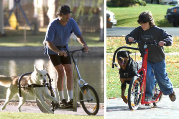 Dog Powered Scooter