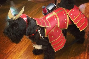Costume da cane Samurai