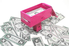 the-cash-cannon