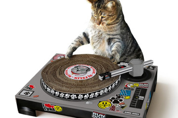 Il tiragraffi per gatti DJ