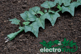 Il filo d’edera electrovine