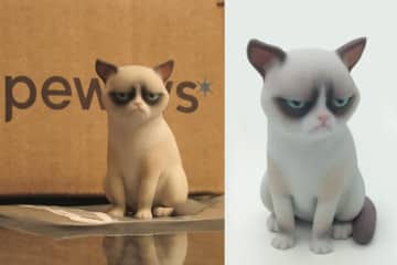 Grumpy Cat 3D