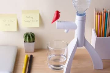 Bird Water Dispenser