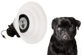 Lo speaker a forma di cane con collare conico speaker-a-forma-di-cane-con-cono