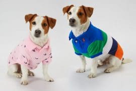 abbigliamento-ralph-lauren-per-cani