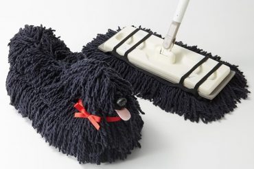 Il cane cattura polvere