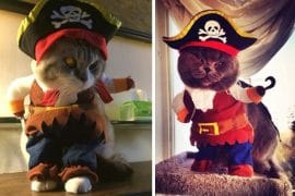 costume-gatto-pirata