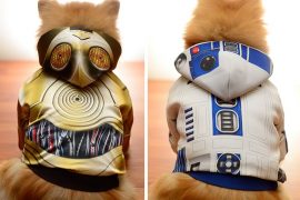 costumi-per-cani-star-wars