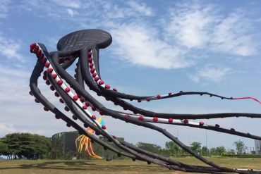 Octopus Kite