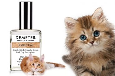 Profumo di pelo di gatto