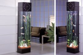 Acquario torre orologio