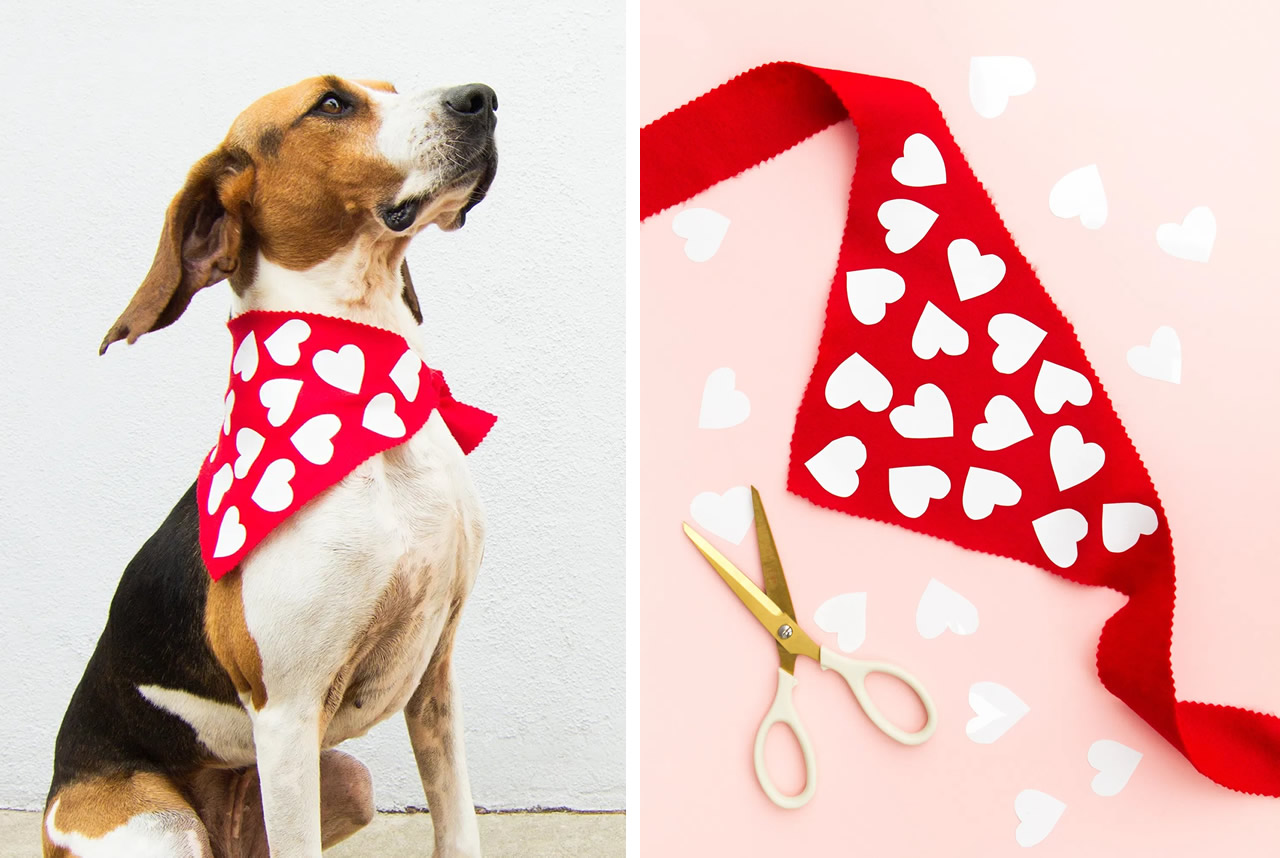 Foulard per cani a tema San Valentino