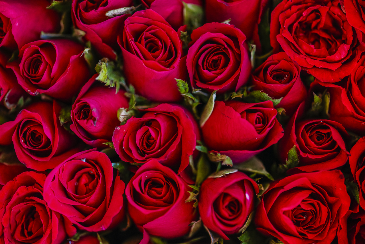 Fiori per San Valentino