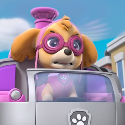 Skye (Paw Patrol)